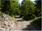 Zajzera - Rifugio Pellarini